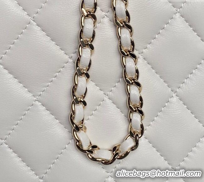 Good Quality Chanel Lambskin Mini Camera bag AP4516 White 2025