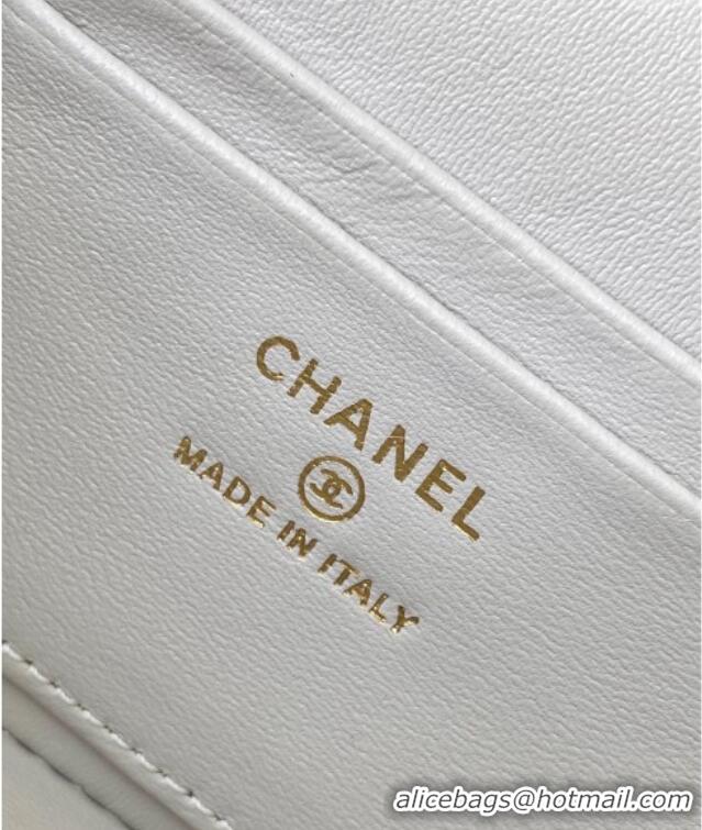 Best Grade Chanel Grained Calfskin Long Vanity Case with Chain AP4407 Light Grey 2025