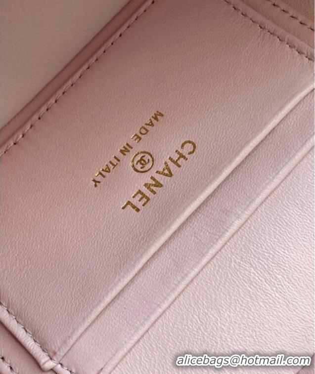 Big Discount Chanel Grained Calfskin Long Vanity Case with Chain AP4407 Pale Pink 2025