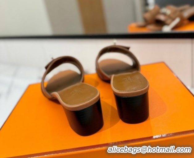 Lowest Price Hermes Gigi Heel Slides Sandal 4.5cm in Smooth Calfskin with Kelly Buckle Brown 0421040