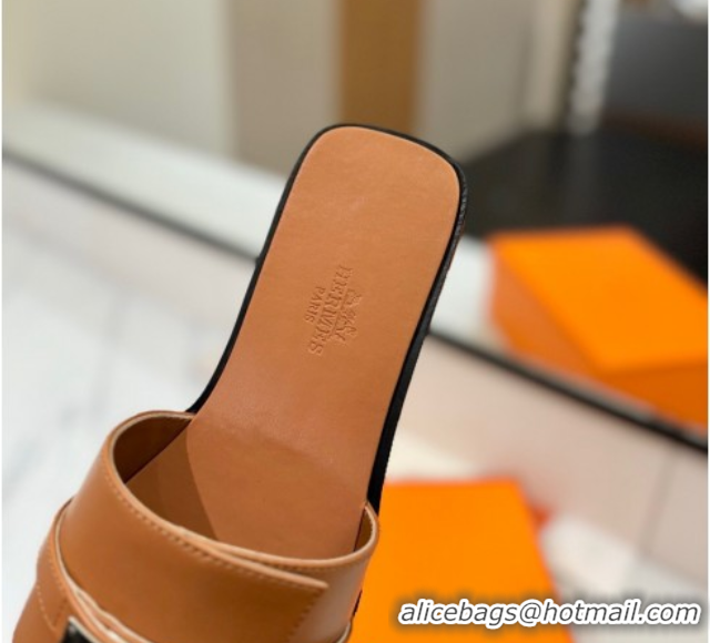 Purchase Hermes Giulia Flat Slides Sandal in Smooth Calfskin with Kelly Buckle Strap Brown 0421057