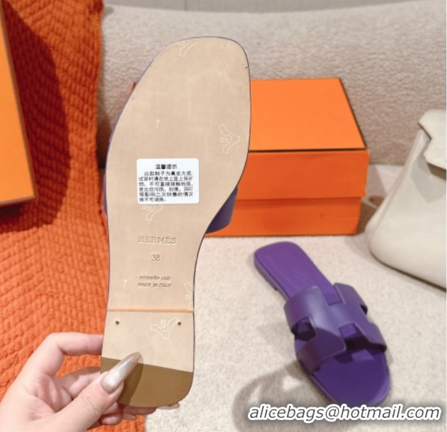 Low Price Hermes Oran Classic Flat Slides Sandal in Smooth Calfskin Dark Purple 0421074