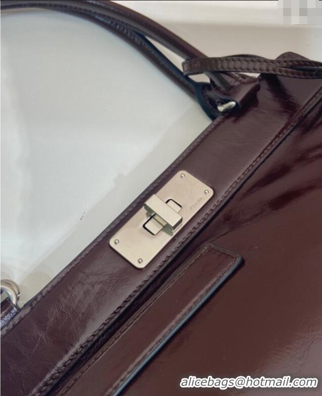 Classic Specials Prada Medium oil leather tote bag 1BG569 Dark Brown 2025