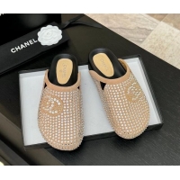 Sophisticated Chanel Suede Flat Mules with Paved Strass Beige 2025 CH041718