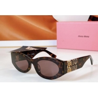 Buy Discount Miu Miu Sunglasses SMU080Z Brown 2025