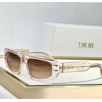 Inexpensive Dior Sunglasses Signature S9U Pink 2025