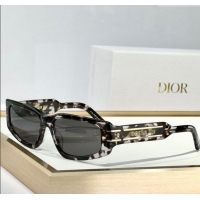 Inexpensive Dior Sunglasses Signature S9U Beige 2025
