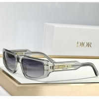 Best Price Dior Sunglasses Signature S9U Grey 2025