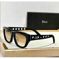 Modern Classic Dior Sunglasses VeryDior S2I 2025