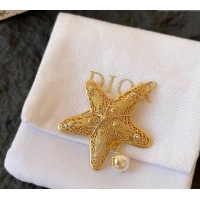 Well Crafted Dior Cabinet de Curiosites Star Hair Clip 3095 Gold 2025
