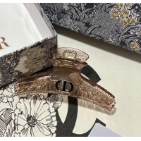 Top Design Dior Crinkled Hair Clip 0311 Beige 2025