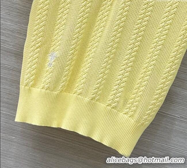 Reasonable Price Dior Knit Polo Top 0515 Yellow 2025