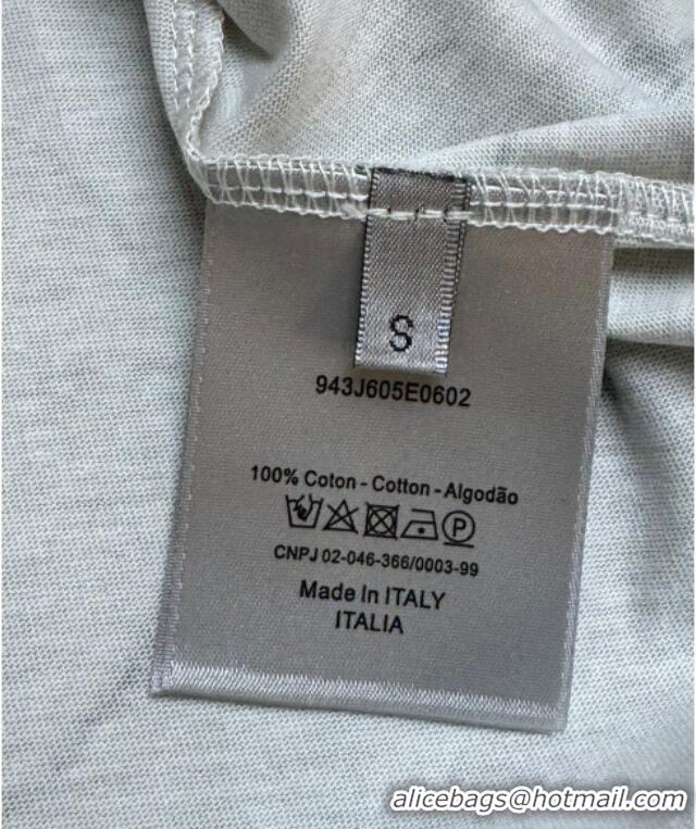 Top Grade Dior Printed Cotton T-Shirt 527003 Light Beige 2025