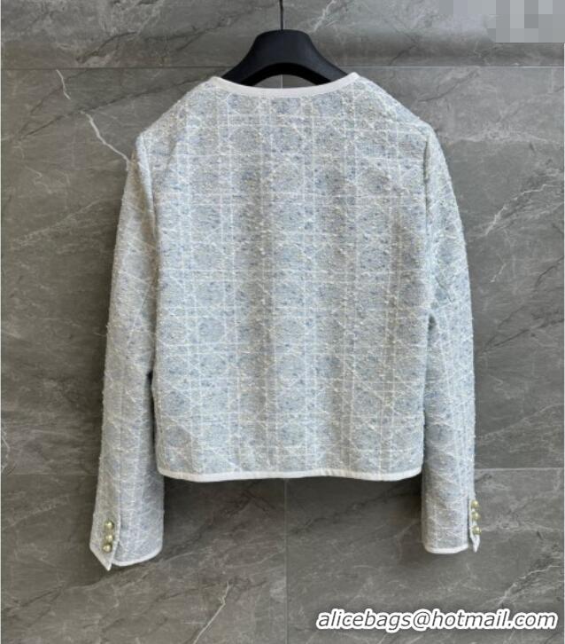 Luxury Discount Dior Tweed Vest 528008 Blue/Grey 2025