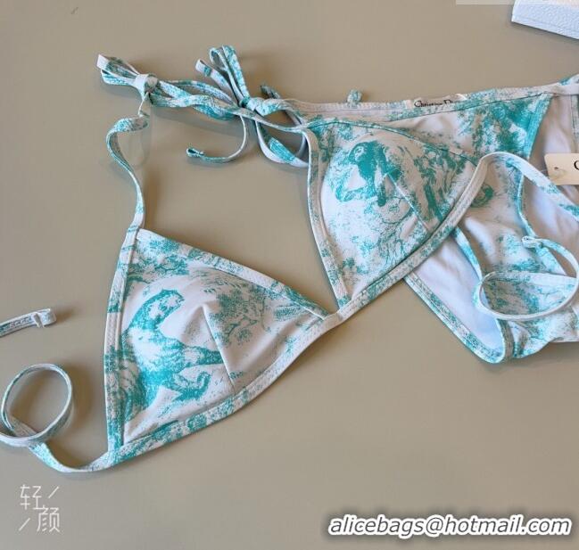 ​Good Product Dior Two-Pieces Swimwear 0313 Green 2025