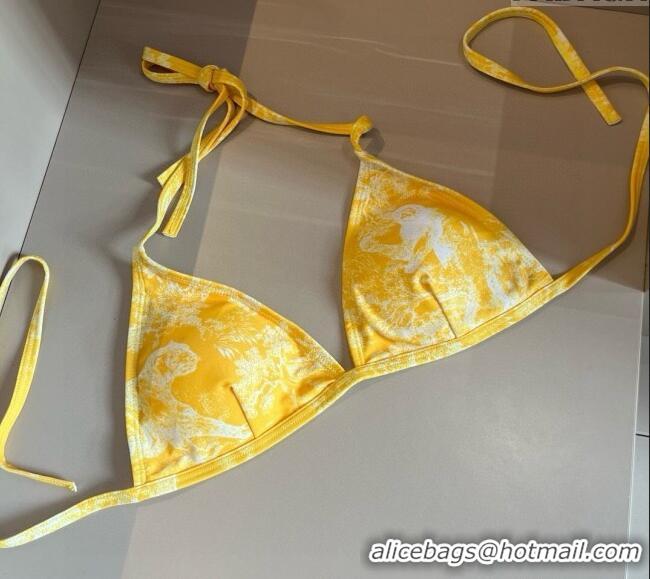 ​Well Crafted Dior Two-Pieces Swimwear 0313 Yellow 2025