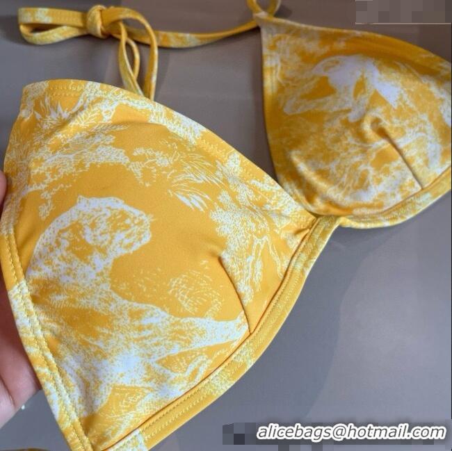 ​Well Crafted Dior Two-Pieces Swimwear 0313 Yellow 2025