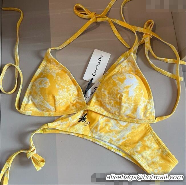 ​Well Crafted Dior Two-Pieces Swimwear 0313 Yellow 2025