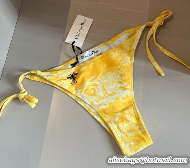 ​Well Crafted Dior Two-Pieces Swimwear 0313 Yellow 2025