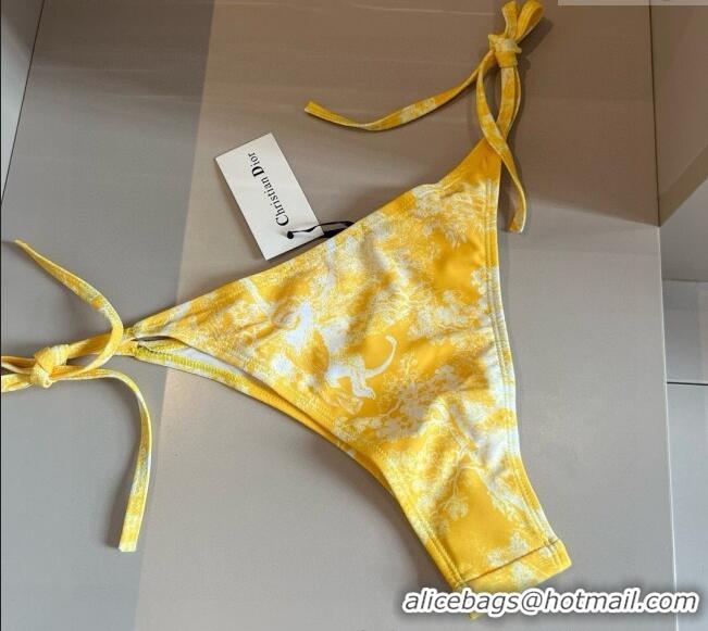 ​Well Crafted Dior Two-Pieces Swimwear 0313 Yellow 2025