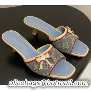 Low Cost Louis Vuitton Heel Slides Sandal 3cm in Monogram Denim Grey 2025 LV042201