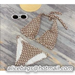 Big Discount Dior Neck Two-Pieces Swimwear 0313 Brown 2025