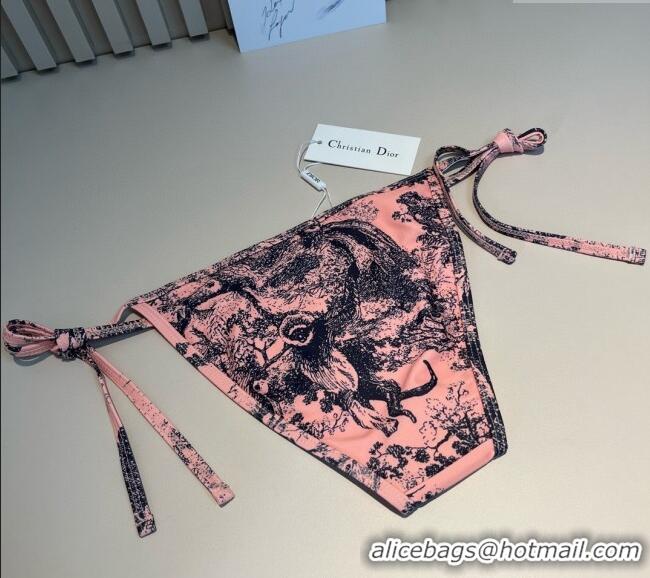 Famous Brand Dior Two-Pieces Swimwear and Skirt Set 3060 Pink 2025