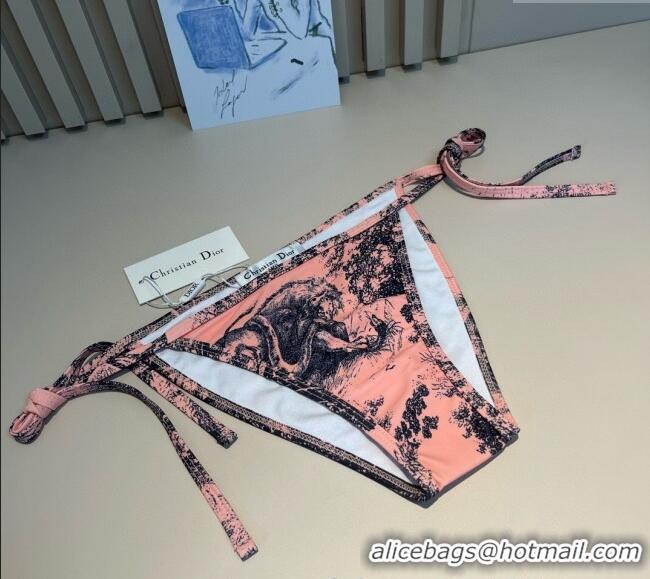 Famous Brand Dior Two-Pieces Swimwear and Skirt Set 3060 Pink 2025