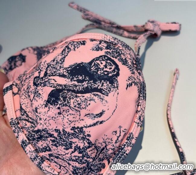 Famous Brand Dior Two-Pieces Swimwear and Skirt Set 3060 Pink 2025