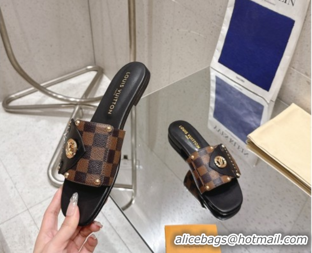 Best Grade Louis Vuitton LV Frame Flat Slides Sandal in Damier Canvas Brown 2025 1AHLPV