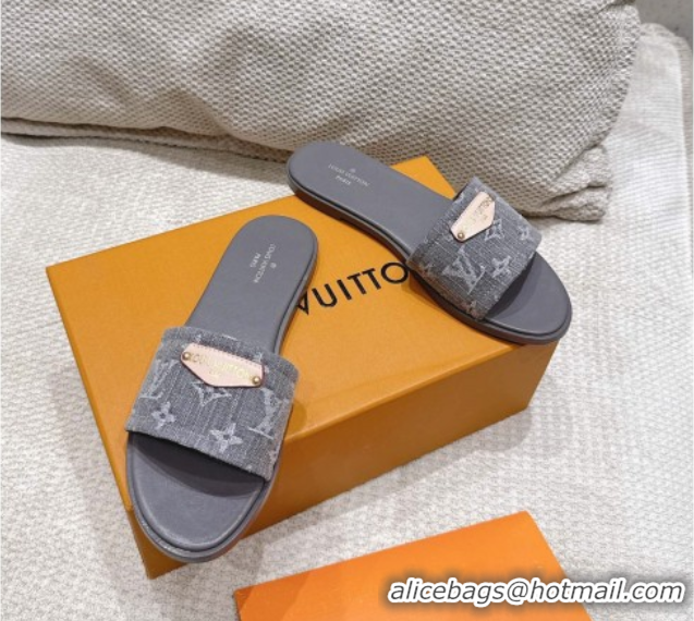Unique Style Louis Vuitton Lily Flat Slides Sandal in Monogram Denim Grey 2025 1AGX78