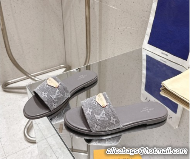 Unique Style Louis Vuitton Lily Flat Slides Sandal in Monogram Denim Grey 2025 1AGX78