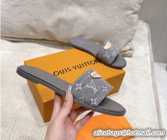 Unique Style Louis Vuitton Lily Flat Slides Sandal in Monogram Denim Grey 2025 1AGX78