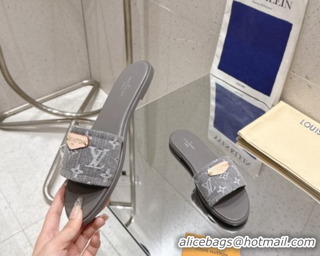 Unique Style Louis Vuitton Lily Flat Slides Sandal in Monogram Denim Grey 2025 1AGX78