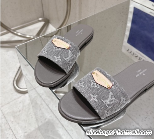 Unique Style Louis Vuitton Lily Flat Slides Sandal in Monogram Denim Grey 2025 1AGX78