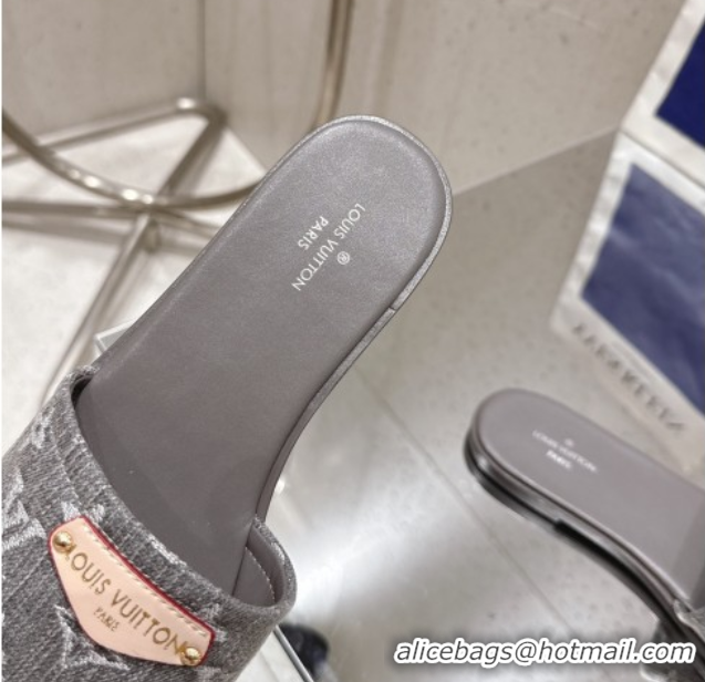 Unique Style Louis Vuitton Lily Flat Slides Sandal in Monogram Denim Grey 2025 1AGX78