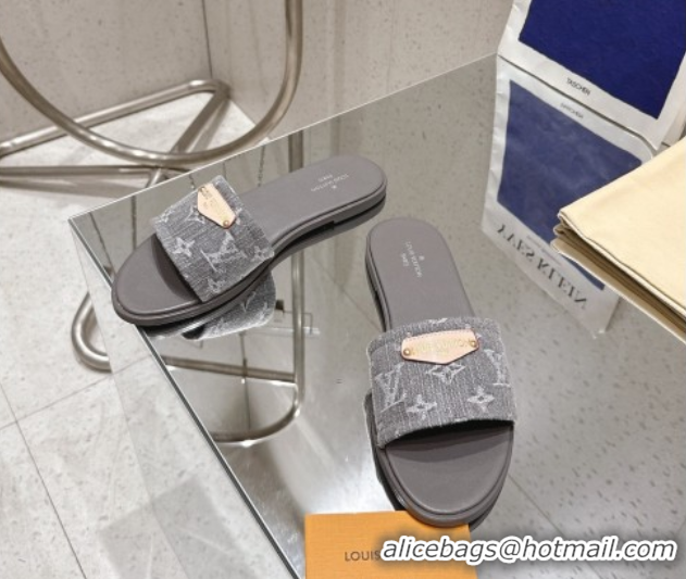 Unique Style Louis Vuitton Lily Flat Slides Sandal in Monogram Denim Grey 2025 1AGX78