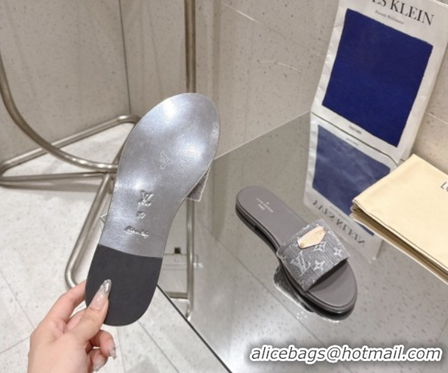 Unique Style Louis Vuitton Lily Flat Slides Sandal in Monogram Denim Grey 2025 1AGX78