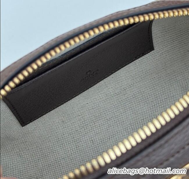 Top Grade Gucci Ophidia GG Canvas Round Mini Shoulder Bag 795208 Brown 2024