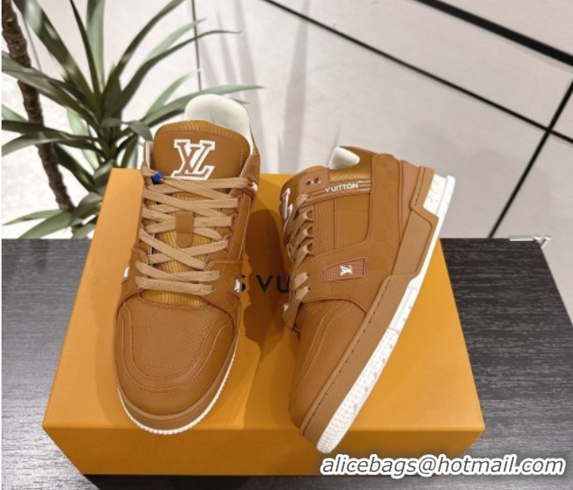 Unique Style Louis Vuitton Trainer Damier Leather Sneakers Brown 0609009