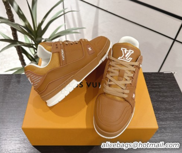 Unique Style Louis Vuitton Trainer Damier Leather Sneakers Brown 0609009