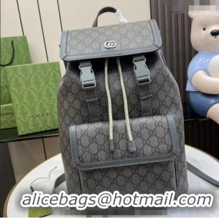 Spot Bulk Gucci Ophidia GG Canvas Small Backpack bag 792114 Grey 2024