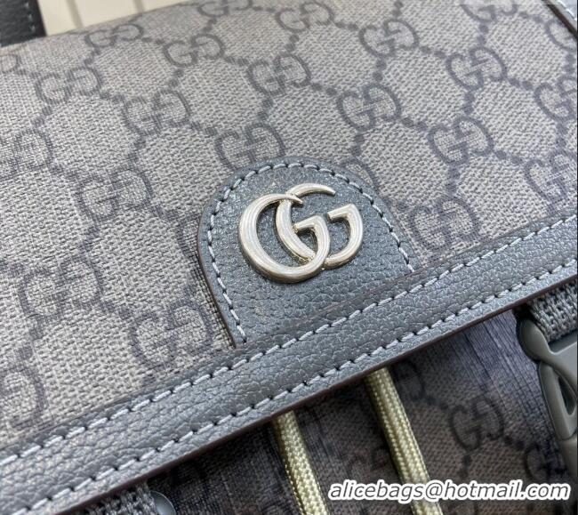 Spot Bulk Gucci Ophidia GG Canvas Small Backpack bag 792114 Grey 2024