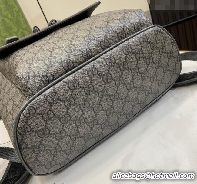 Spot Bulk Gucci Ophidia GG Canvas Small Backpack bag 792114 Grey 2024