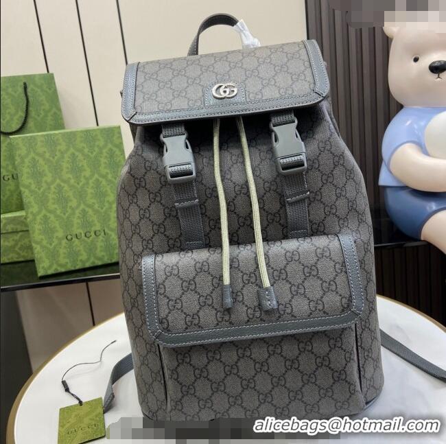 Spot Bulk Gucci Ophidia GG Canvas Small Backpack bag 792114 Grey 2024