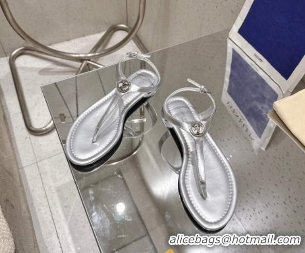 Top Design Louis Vuitton Sunkiss Flat Thong Sandals in Silver Leather 2025 1AHKU7 0609037