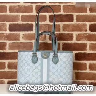 Market Sells Gucci Ophidia GG Canvas Mini Tote Bag 765043 Dusty Blue 2024