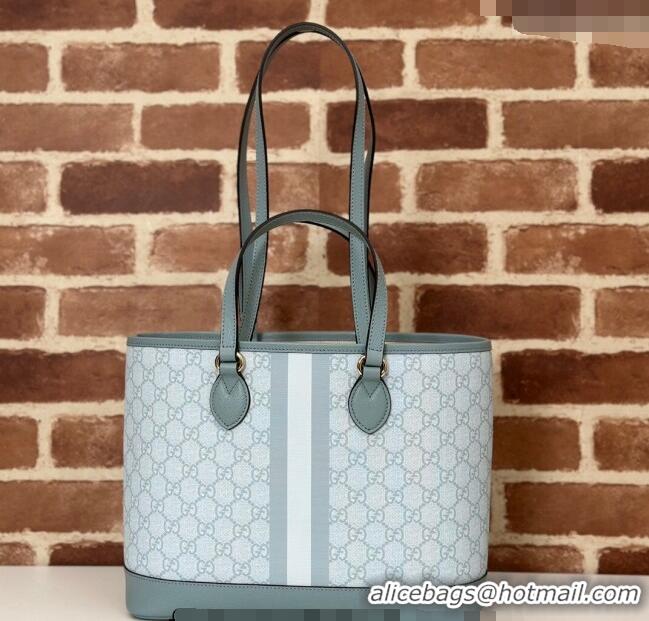 Market Sells Gucci Ophidia GG Canvas Mini Tote Bag 765043 Dusty Blue 2024