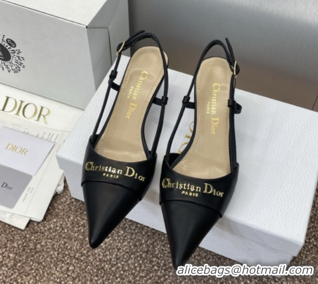 Luxury Dior My Dior Slingbacks Pump 5cm in Supple Calfskin Black 0425023