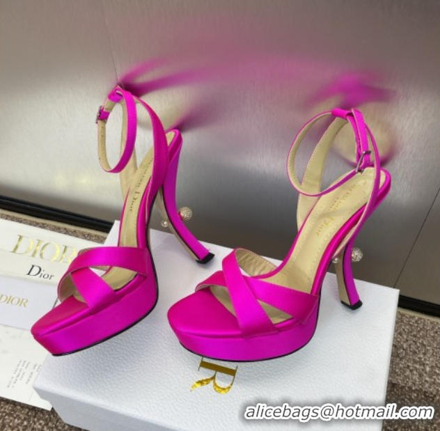 Stylish Dior Tribales Heeled Platform Sandals 12cm in Satin Dark Pink 0425054